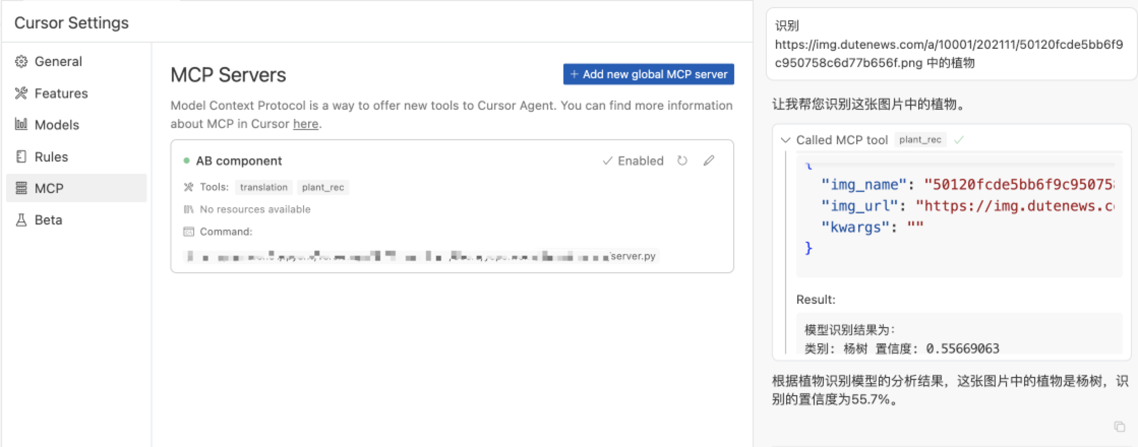 cursor_server_use.jpg