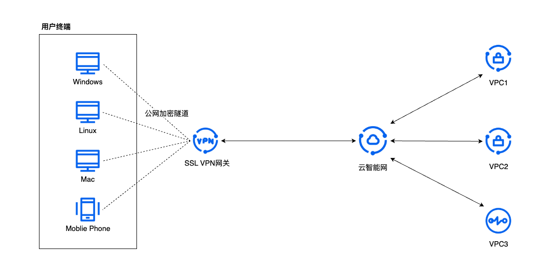 SSL VPN云智能网类型.png