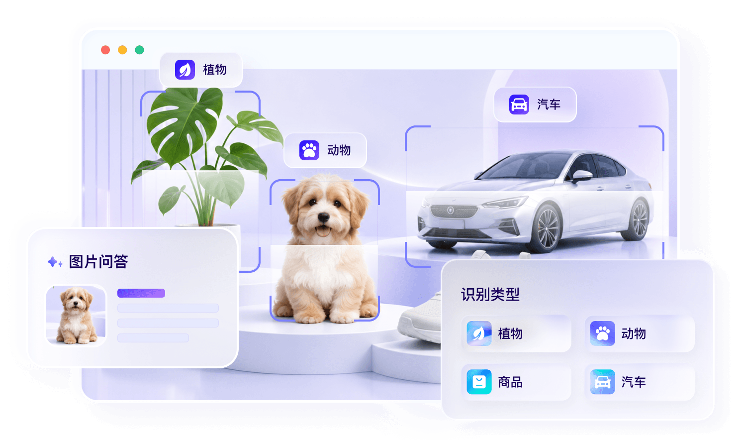 看图识万物