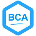 BCA Engineer